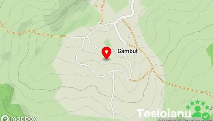 hartă a Gâmbuţ  în Gâmbuţ