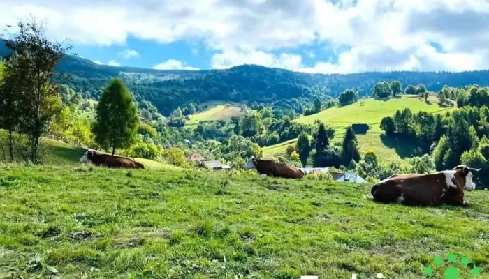 Gârda de Sus - Gârda De Sus