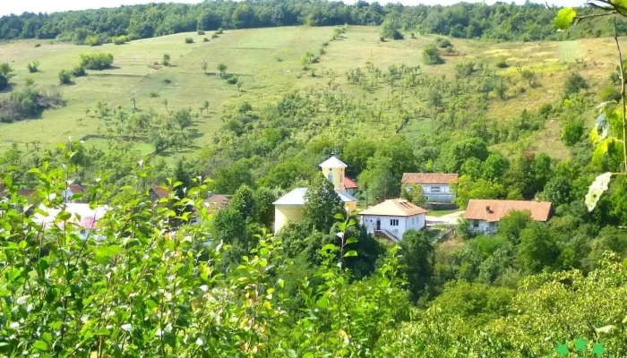 Gârnic - Gârnic