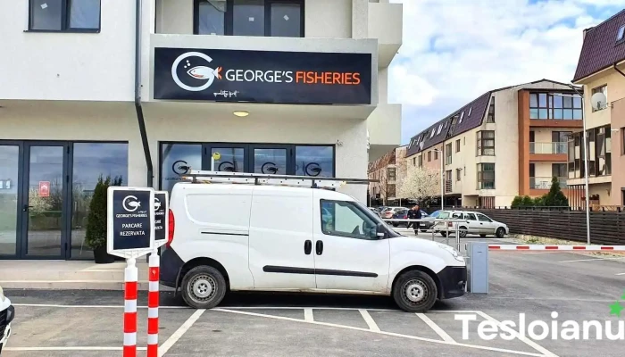 George's Fisheries - Bragadiru