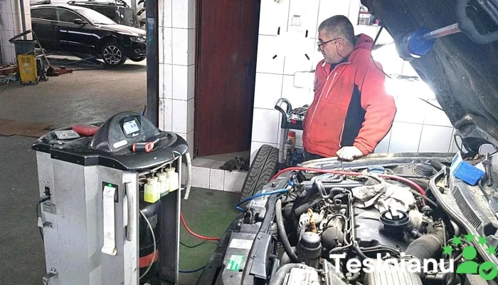 Gindany Decarbonizare motor - România