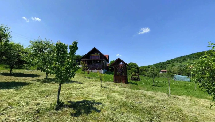 Giulus Street View Si 360deg - Giuluş