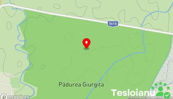 hartă a Giurgița Woods în 