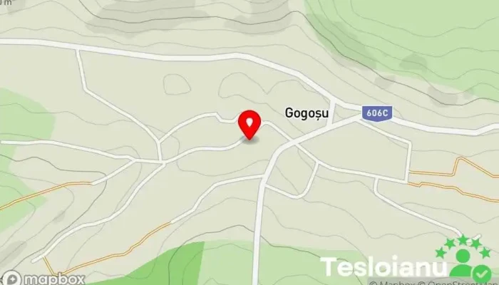 hartă a Gogoşu  în Gogoşu