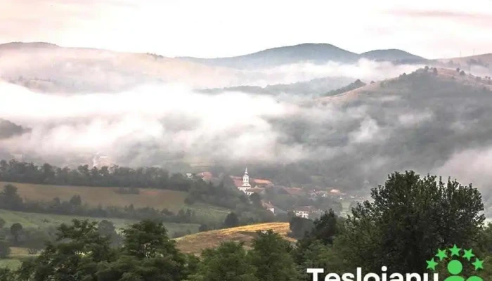 Goruia -  Prețuri - Goruia