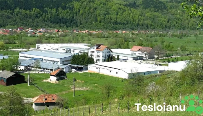 Greiner Assistec Leresti - Lerești 117430