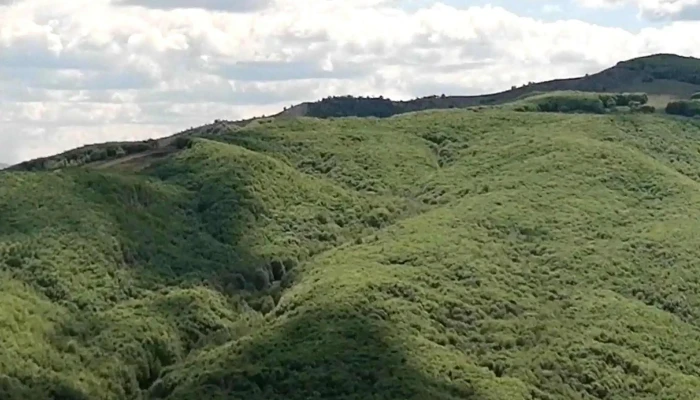 Groapa " Burlacu" - Târgu Ocna