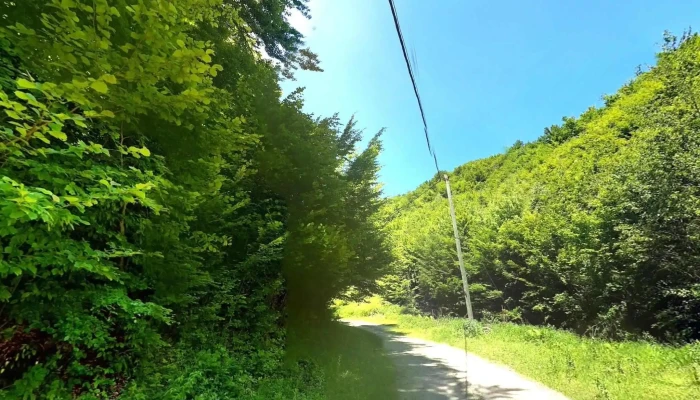 Groape -  Street View Si 360deg - Groape