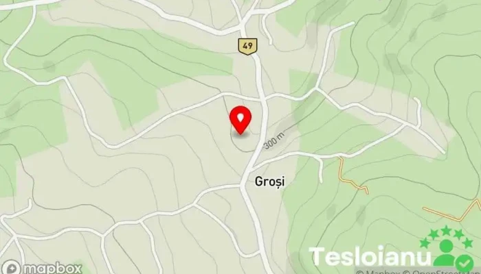 hartă a Groși  în Groși