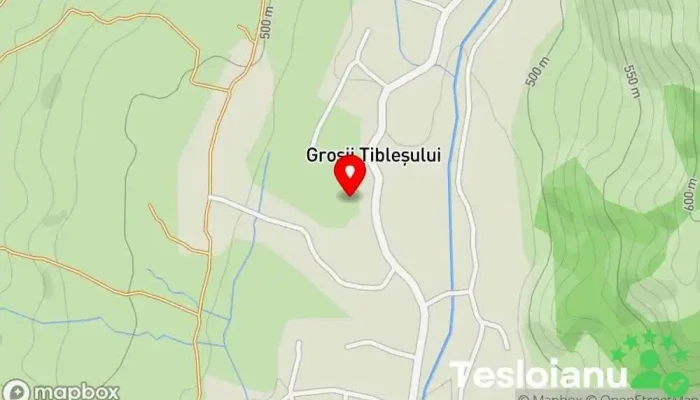 hartă a Groșii Țibleșului  în Groșii Țibleșului