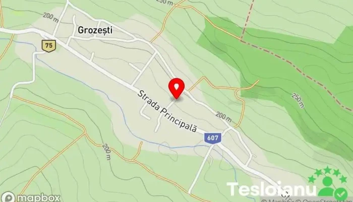 Grozeşti - Grozeşti