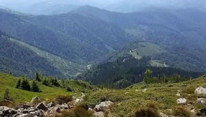 Groșii Țibleșului - Groșii Țibleșului