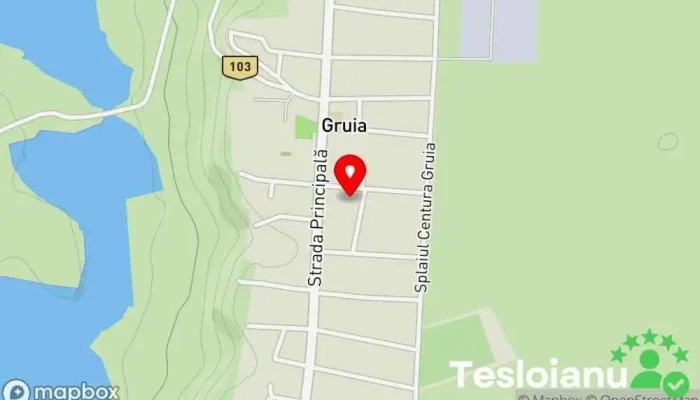hartă a Gruia  în Gruia