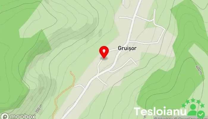 hartă a Gruișor  în Gruișor