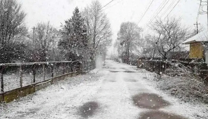 Grădiștea - Grădiștea