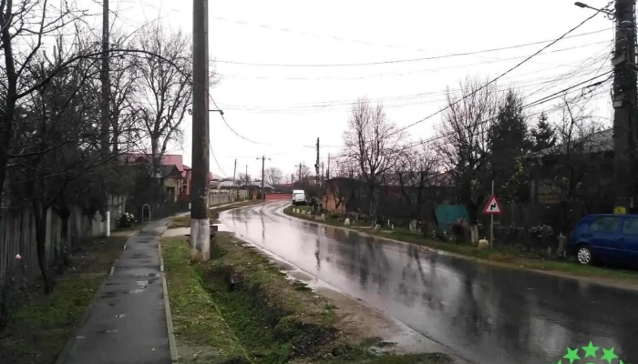 Gulia - Gulia