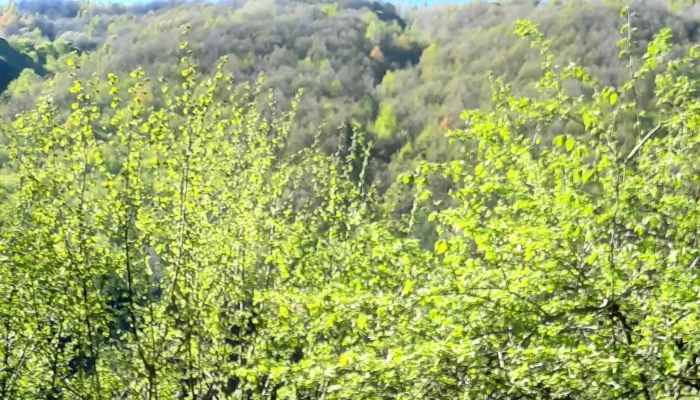 Gura Raului Locație - Romania