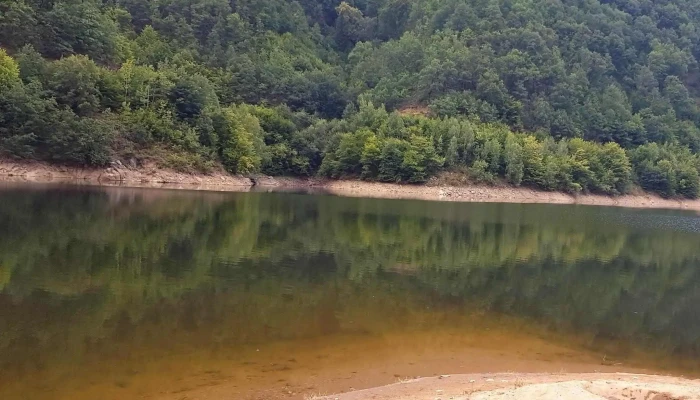 Gura Raului Prețuri - Romania