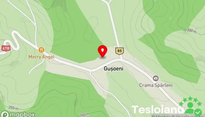 hartă a Guşoeni  în Guşoeni