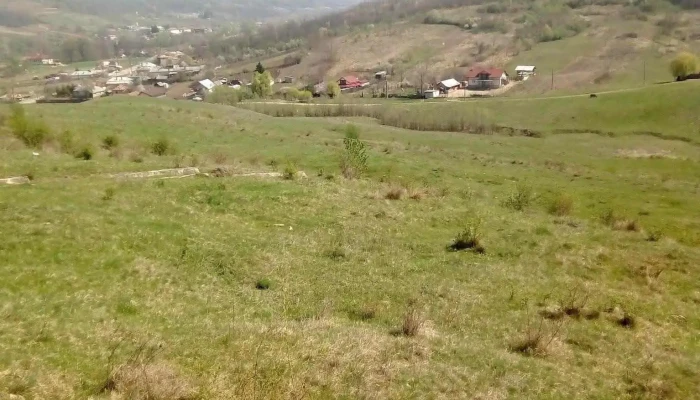 Gusoeni Locație - Guşoeni