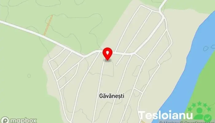 Găvăneşti - Găvăneşti