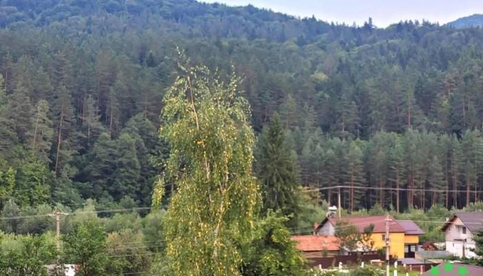Haghiac Munte - Hăghiac