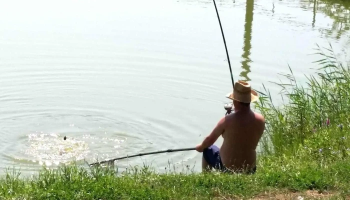 Hanul Pescarilor Garofita Locație - Sâncraiu De Mureș