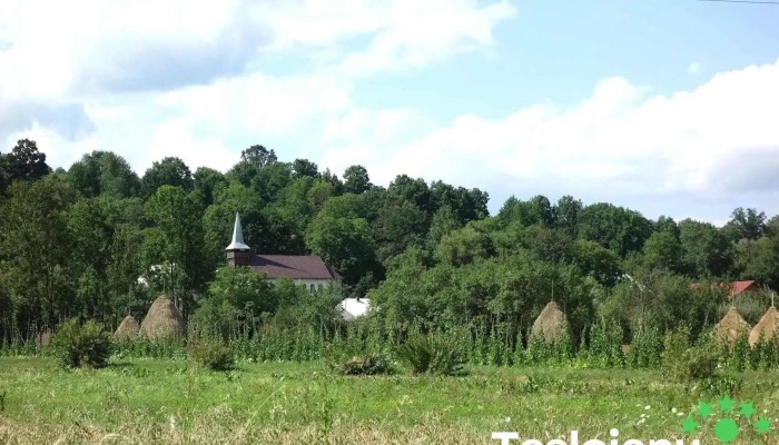 Harnicesti Videoclipuri - Hărnicești