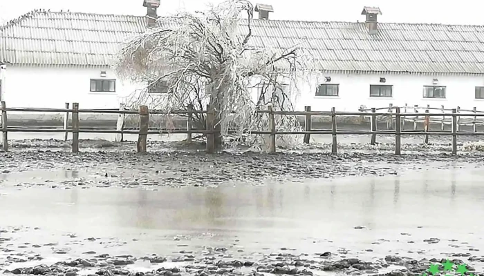 Herghelia Dor Marunt De La Proprietar - Dor Mărunt