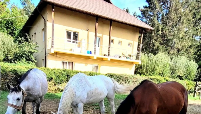Herghelia Radauti -  Deschis Acum - Rădăuți