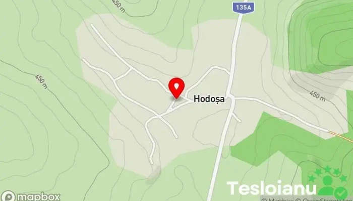 hartă a Hodoşa  în Hodoşa