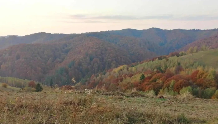 Holbav Tinut De Basm -  Adresă - Romania