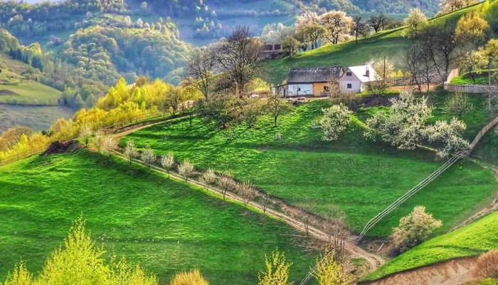 Holbav Tinut De Basm -  Instagram - Romania