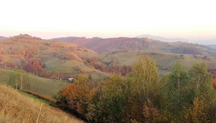 Holbav Tinut De Basm -  Recenzii - Romania
