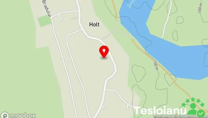 hartă a Holt  în Holt