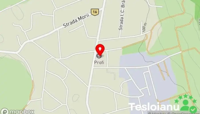 hartă a Homocea  în Homocea