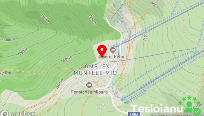 hartă a Hotel Muntele Mic Hotel, Restaurant cu specific european în DJ608A Stațiunea Muntele Mic