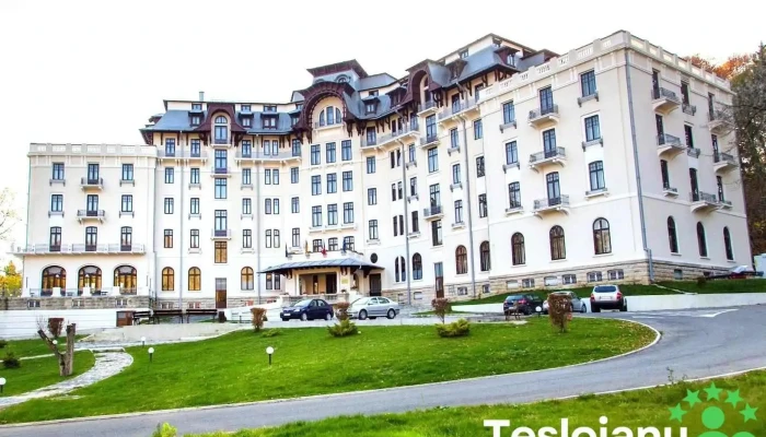 Hotel Palace Baile Govora - Prajila
