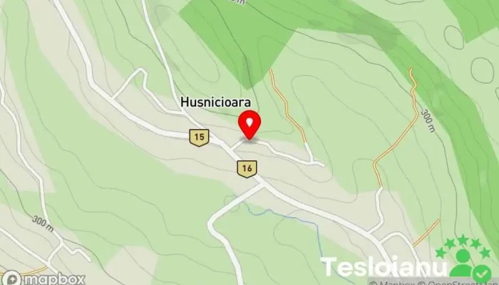 hartă a Husnicioara  în Husnicioara