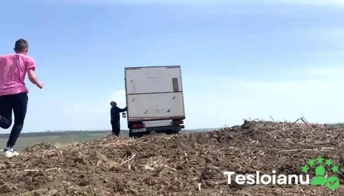 Iaslovat Videoclipuri - Romania