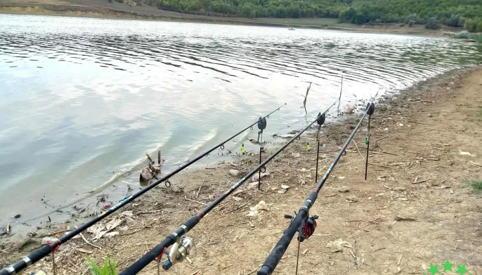 Iaz Lac De Pescuitoesti Fotografii - Totoești