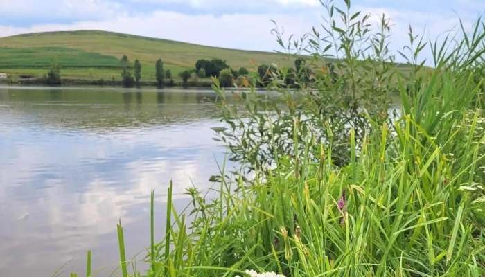 Iaz Moara Carp -  Videoclipuri - Moara Carp