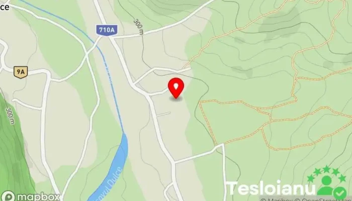 Iedera de Jos - Iedera De Jos