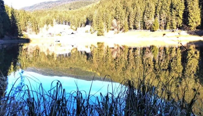Iezerul Sadovei -  Scor - Sadova