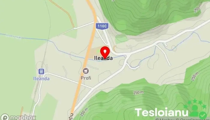 hartă a Ileanda  în Ileanda