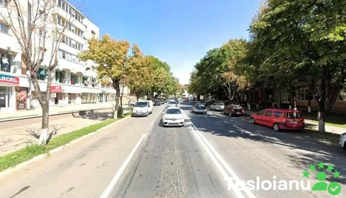 Inchirieri auto Targu Frumos - Fcs - Târgu Frumos 705300