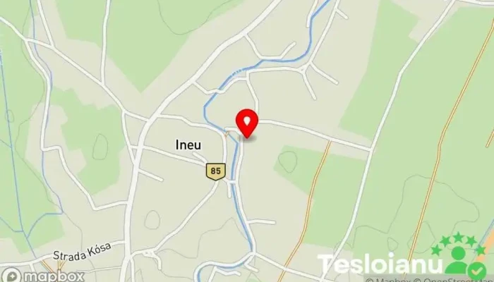 hartă a Ineu  în Ineu