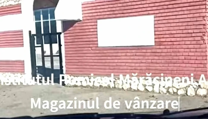 Institutul De Cercetare Dezvoltare Pentru Pomicultura Pitesti Maracineni Mărăcineni - Mărăcineni