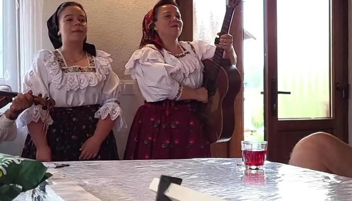 Ion De La Cruce -  De La Vizitatori - Poienile Izei