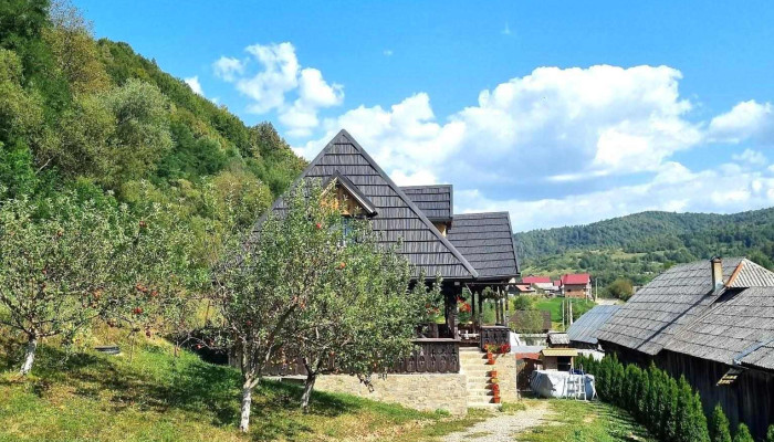Ion De La Cruce -  Fotografii - Poienile Izei
